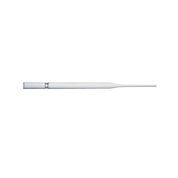 Pasteur Pipette, 146mm Long